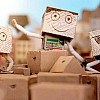 Verkauf und Vermietung von Kartonagen, Umzugskartons & Verpackungsmaterial