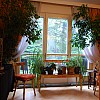 Veranstaltungsraum - Partylocation - Grillplatz