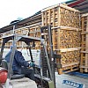 Trockenes Brennholz zu verkaufen