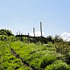 Weitwanderreise in der Toskana