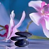 Promoter/in für den Wellnessbereich gesucht