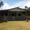 Brasilien 70 Ha grosses Fruchtpaltagen -und Fischzucht - Grundstück bei Presidente Figueiredo AM