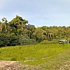 Brasilien 25 Ha grosses Tiefpreis-Grundstück Region Manaus