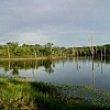 Brasilien 80 HA Grundstück mit Privatsee ultrabillig!