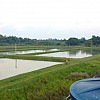 Brasilien 250 Ha high yeld  Fischzucht - Südamerika