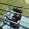 Daiwa 20 Tournament Basia 45 SCW QD Karpfenangelrolle