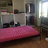 Entrümpelung von Haus, Wohnung, Keller und Dachboden