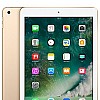 Apple iPad mit WiFi, 32 GB, gold